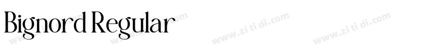 Bignord Regular字体转换 Bignord Regular字体转换